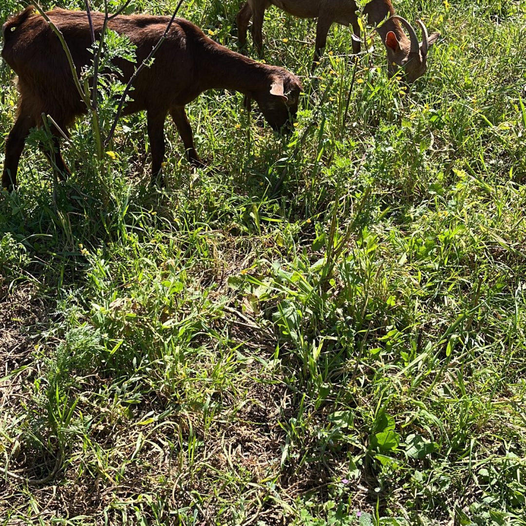 2FEC8FB3-6299-4F49-9207-D27E382BF90D