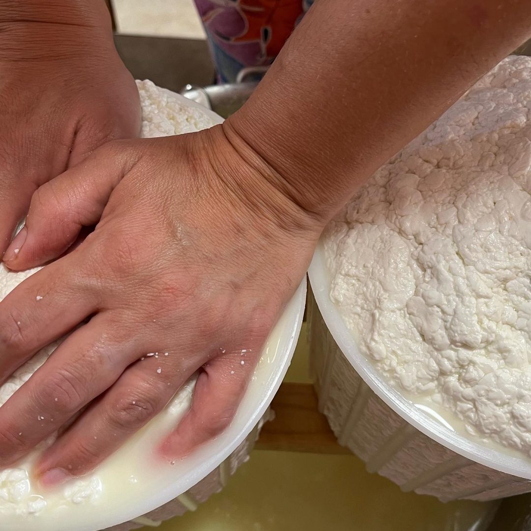 89866DE6-E8AA-4363-8C4A-C853B5E995E9